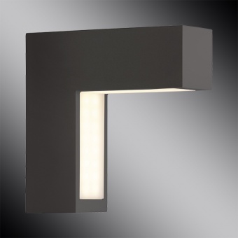 Уличный настенный светильник Brilliant Ashton G41681/06