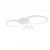 Потолочный светодиодный светильник ST Luce Erto SL904.112.03