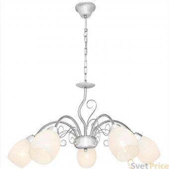 Подвесная люстра Silver Light Aimi 139.54.5
