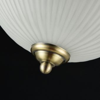Потолочный светильник Maytoni Planum CL913-02-R