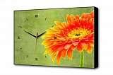 Настенные часы Цветочная улыбка Timebox Toplight 37х60х4см TL-C5032