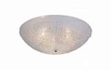 Потолочный светильник ST Luce SL517.502.03