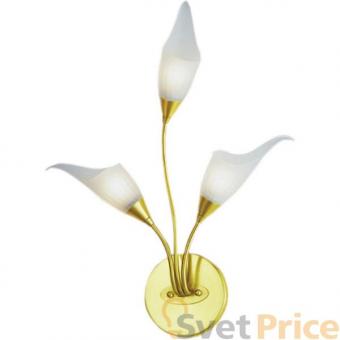 Бра N-Light BX-0143/3