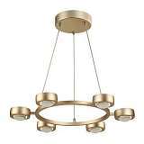 Подвесная светодиодная люстра Odeon Light Ottico 3874/60L