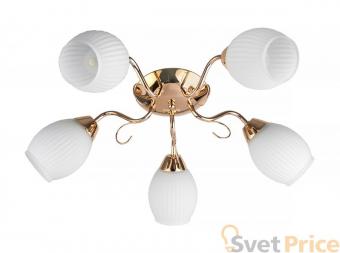 Потолочная люстра Toplight Kristin TL3520X-05FG