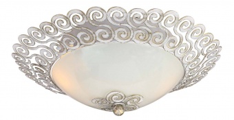 Потолочный светильник Favourite Dina 1669-2C