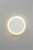 Настенный светодиодный светильник Omnilux Banbury OML-42601-10