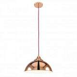 Подвесной светильник Spot Light Bristol 9707112
